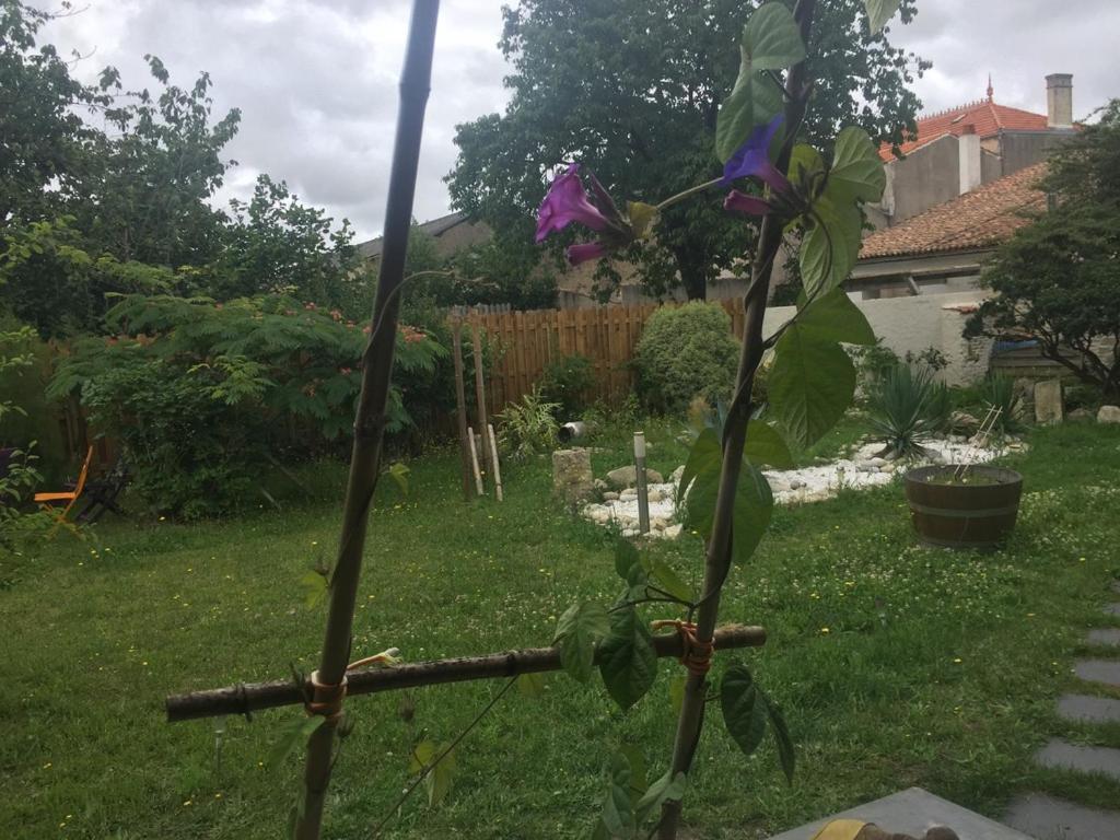 Accacia Home Ferrières Buitenkant foto